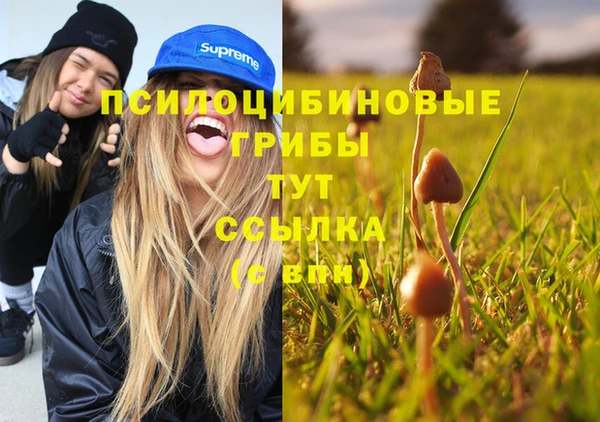 PSILOCYBIN Богородицк